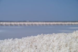 قیمت خرید نمک دریایی با کیفیت و اصل